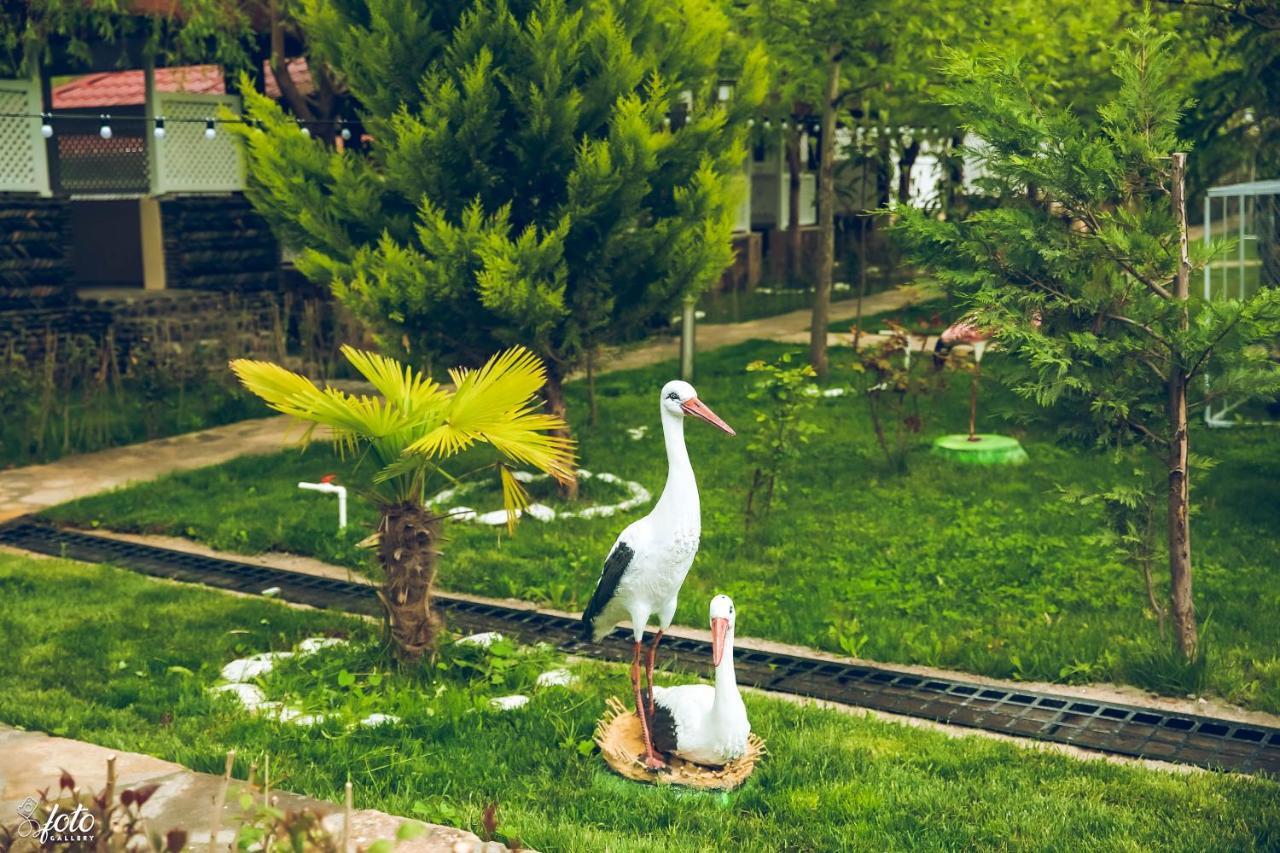 Su Sesi Hotel&Restorant Goygol Экстерьер фото